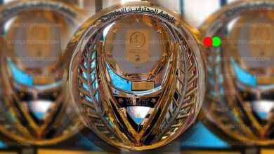 سجل أبطال الدوري الإماراتي عبر التاريخ منذ عام 1973