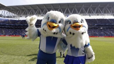 محكمة تُدين لاعب سيلتا فيغو بتهمة التحرش بتميمة نادي إسبانيول