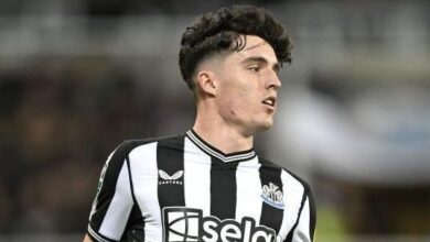 تينو ليفرامينتو لاعب نيوكاسل يونايتد