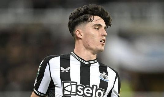 تينو ليفرامينتو لاعب نيوكاسل يونايتد
