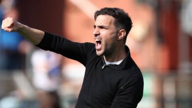 فابريغاس المرشح الأقوى لخلافة تشابي ألونسو في ليفركوزن