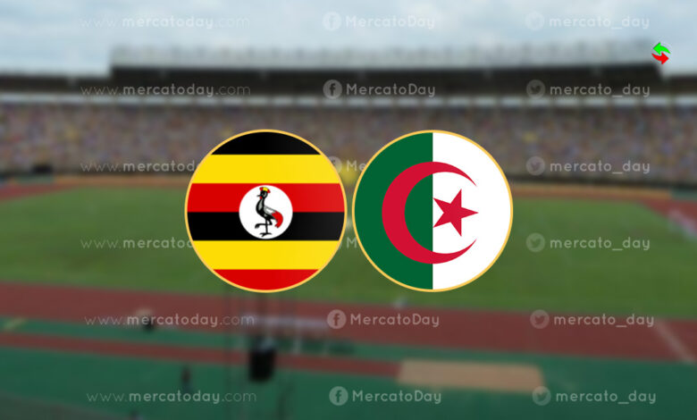 بث مباشر.. مشاهدة مباراة الجزائر وأوغندا في كأس أمم إفريقيا للمحليين