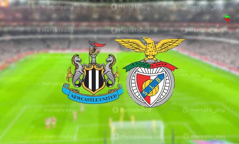 بث مباشر.. مشاهدة مباراة نيوكاسل وبنفيكا في دوري أبطال أوروبا