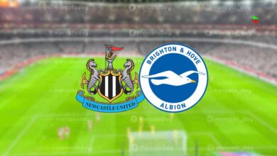 بث مباشر.. مشاهدة مباراة برايتون ونيوكاسل في الدوري الإنجليزي 2025-2026