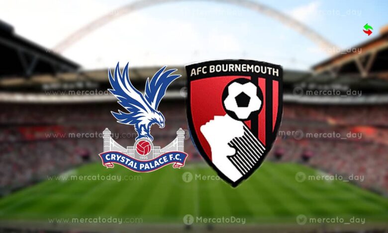 بث مباشر.. مشاهدة مباراة كريستال بالاس وبورنموث في الدوري الإنجليزي 2025-2026