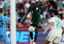 نيجيريا تُسيطر على الجزائر وتتأهل لمواجهة المغرب في نصف النهائي