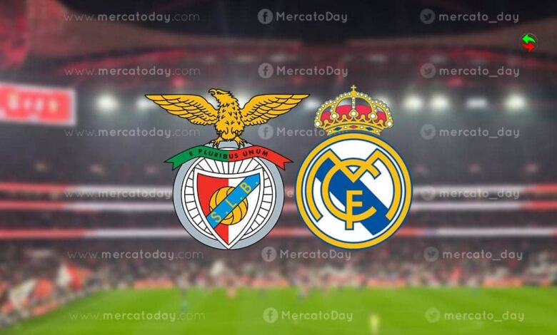 مشاهدة بث مباشر مباراة ريال مدريد وبنفيكا في دوري أبطال أوروبا